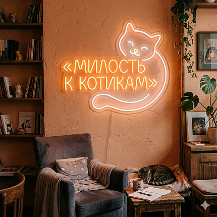 Милость к котикам0